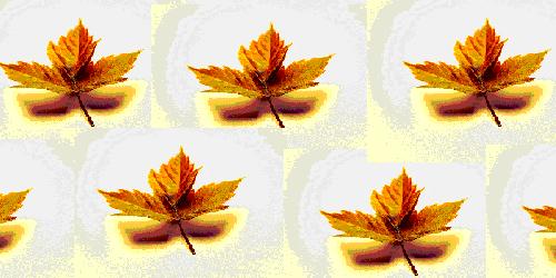 leaves gold2